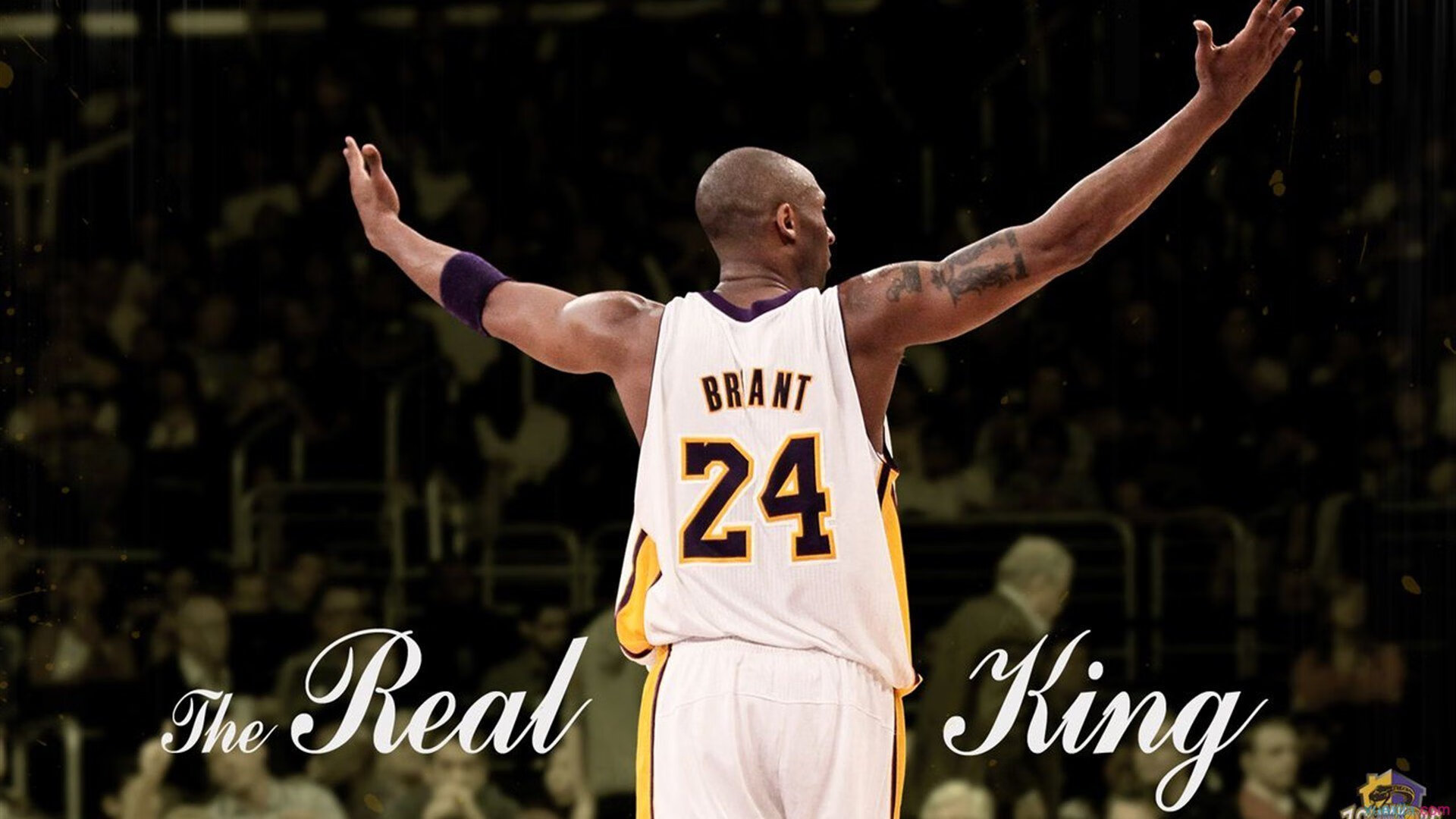 _快船迎难而上，攻防两端表现出色_，快船重磅引援