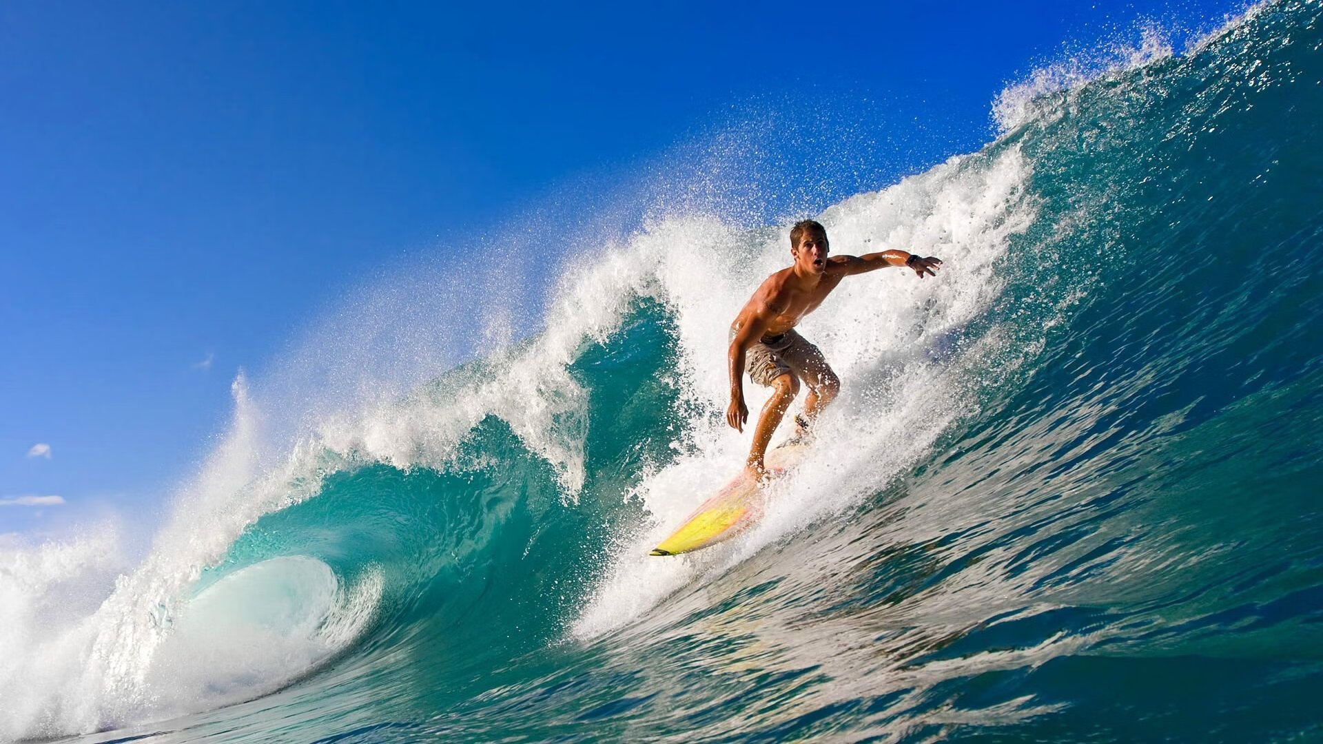 法国橄榄球的成功转型,成为国际赛事不可忽视的力量,法国橄榄球队