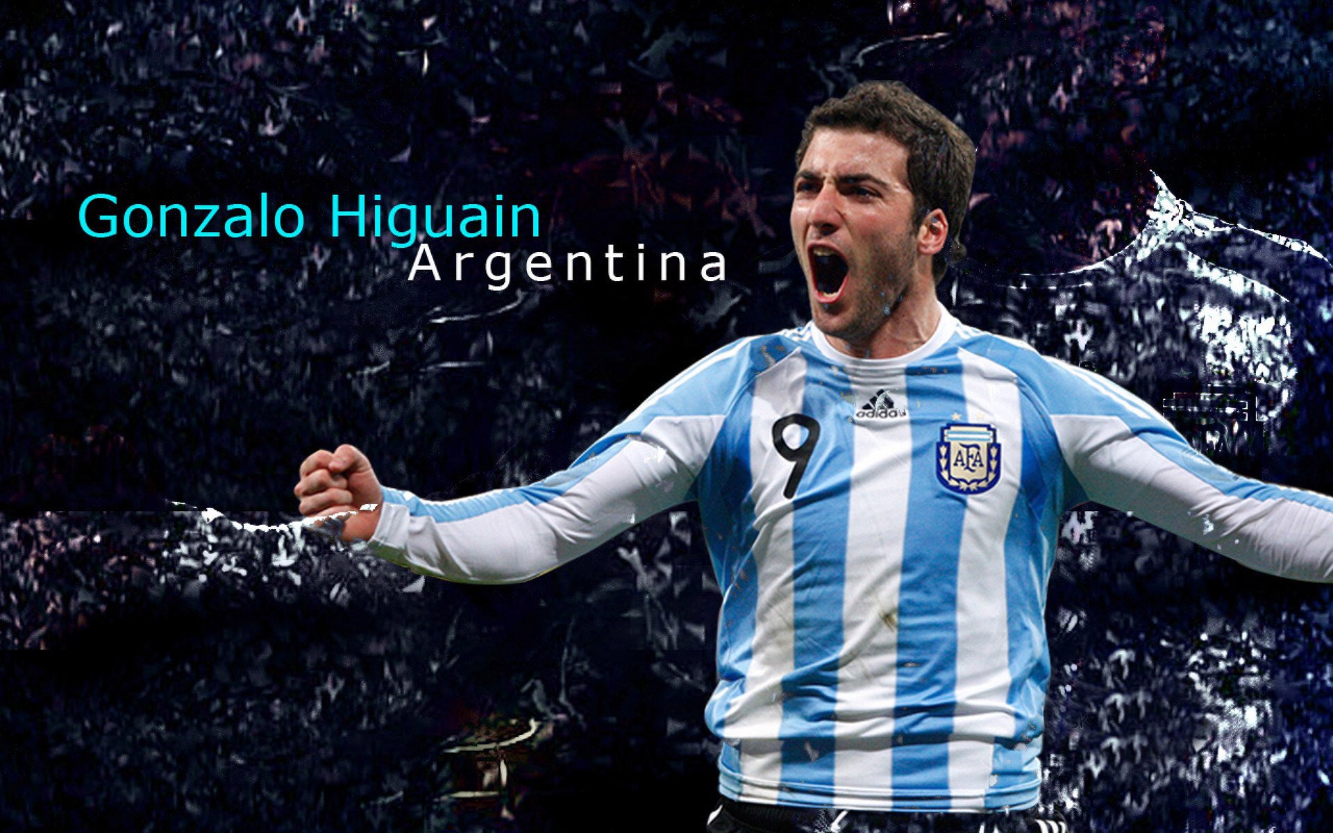 WRC粉丝团体：全球车迷的热情聚会，wrc车队排名